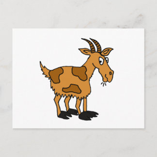 Carte Postale XX- Chèvre caricaturale amusante