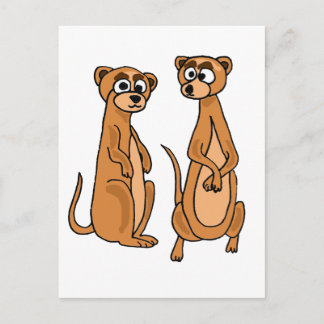 Carte Postale XX- Drôle Cartoon Meerkat
