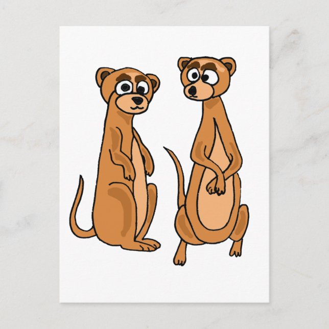 Carte Postale XX- Drôle Cartoon Meerkat (Devant)