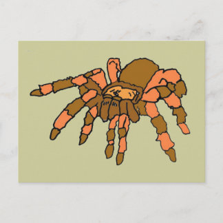 Carte Postale XX- Hilarious araignée de Tarantula