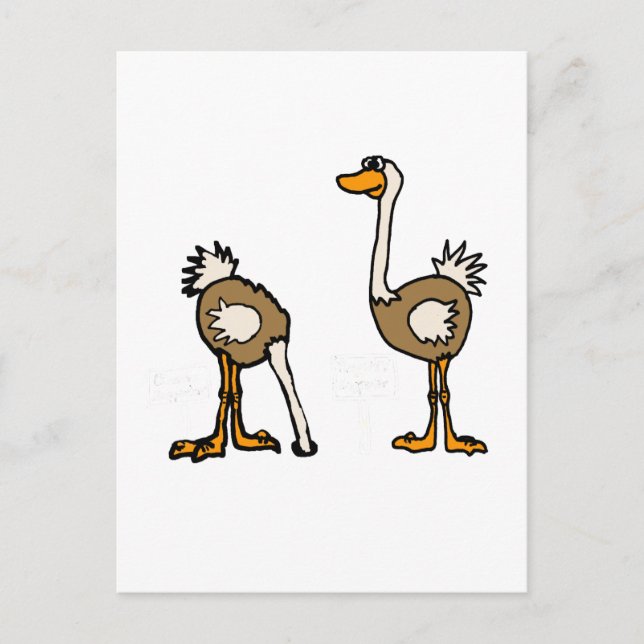 Carte Postale XX- Ostriches dans le sable (Devant)