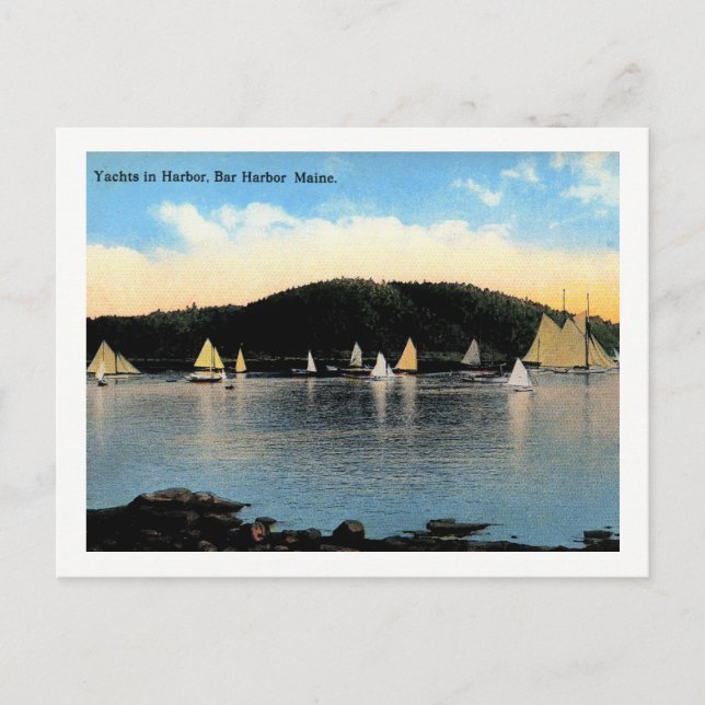 Carte Postale Yachts, Bar Harbour, Maine, Vintage (Devant)