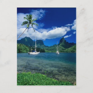 Carte Postale Yachts privés ancrés dans la baie d'Opunohu sur l'