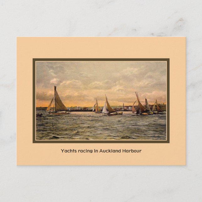 Carte Postale Yachts vintages à Auckland Harbour NZ (Devant)