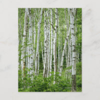 Yakumo-mura, Préfecture de Nagano, Honshu Central