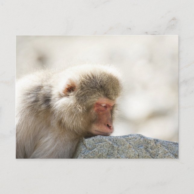 Carte Postale Yamanouchi, Chubu, Préfecture de Nagano, Japon (Devant)