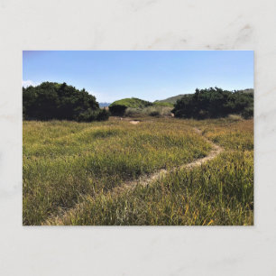 Carte Postale Yaquina Bay State Recrereation Site, Newport, Oreg