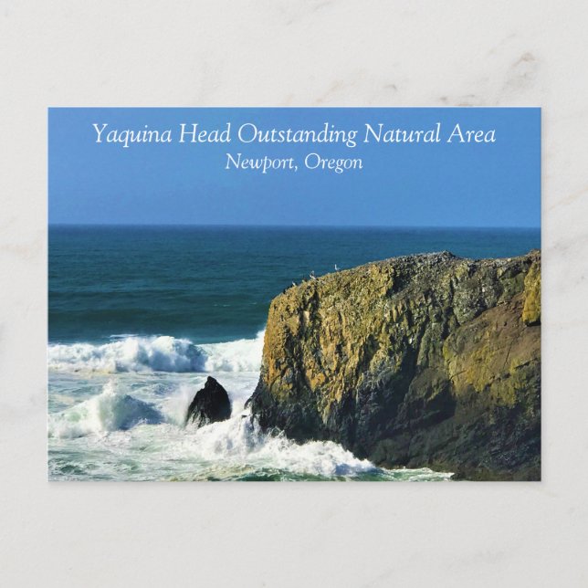 Carte Postale Yaquina Head Superbe zone naturelle, Oregon Post (Devant)