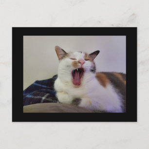 Carte Postale Yawning Calico Cat