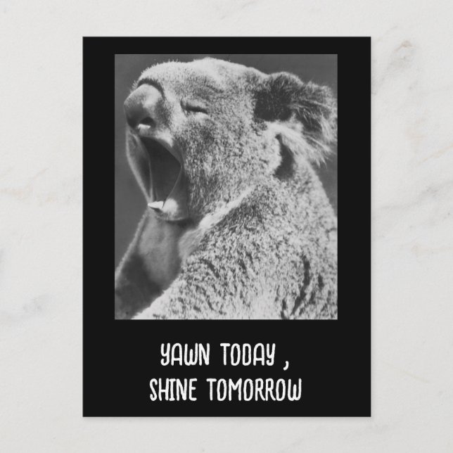 Carte Postale Yawning Koala, phrase amusante (Devant)