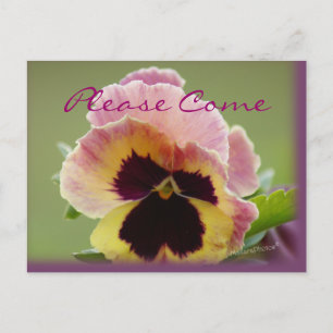 Carte Postale yel&pk Pansy Invitation - personnaliser toute occa