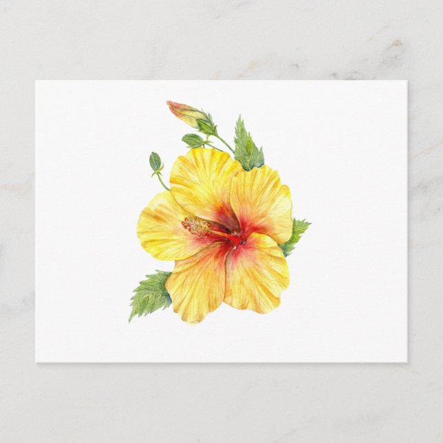 Carte Postale Yellow Hibiscus Botanical (Devant)