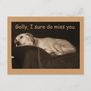 Carte Postale Yellow Lab Pit Husky Golly Je Sais Que Vous Manque