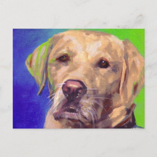 Carte Postale Yellow Labrador Retriever (Devant)