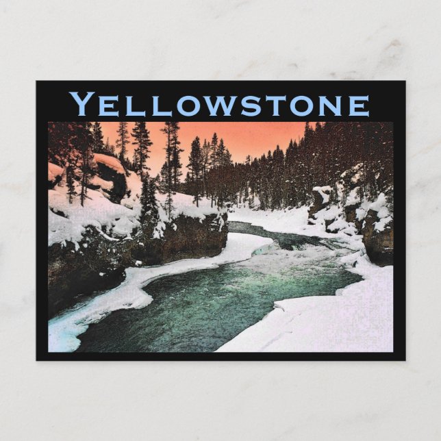 Carte postale Yellowstone (Devant)