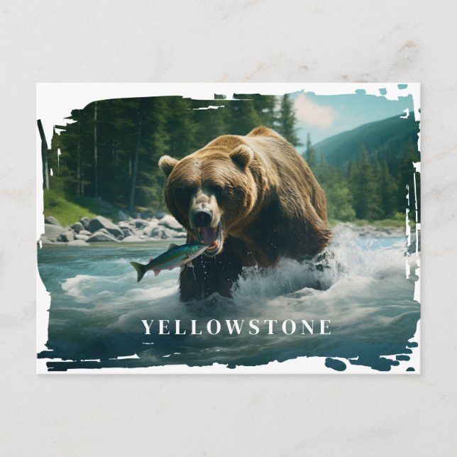 Carte postale Yellowstone Bear (Devant)