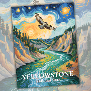 Carte Postale Yellowstone Bird Osprey Van Gogh Starry Nuit étoil