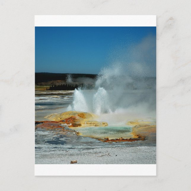 Carte Postale Yellowstone Geysers (Devant)
