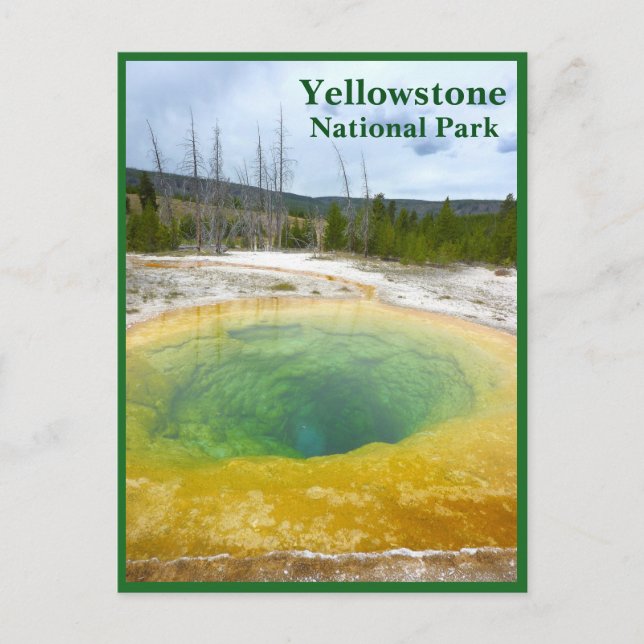 Carte Postale Yellowstone : Morning Glory Pool avec texte (Devant)
