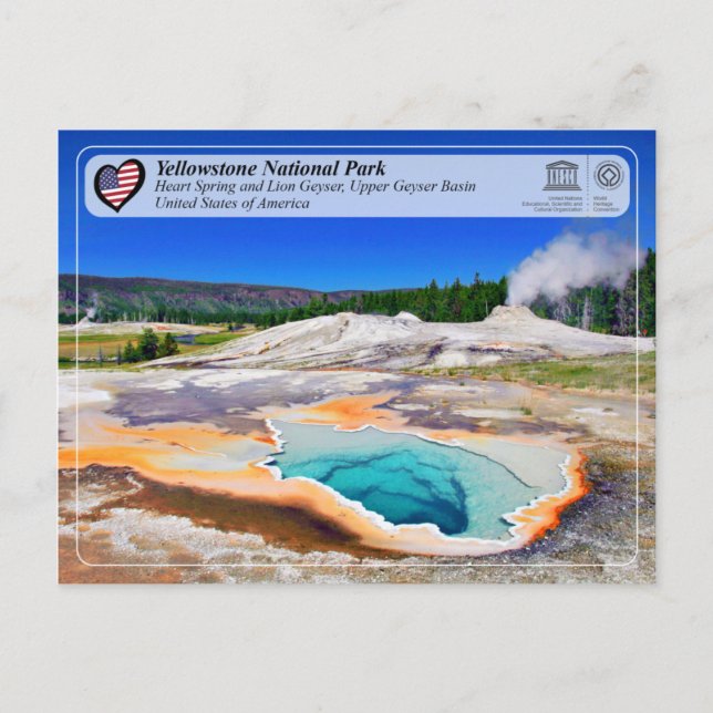 Carte Postale Yellowstone NP - Heart Spring et Lion Geyser (Devant)