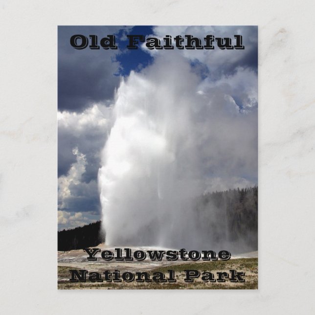 Carte Postale Yellowstone Old Faithful Postcard (Devant)