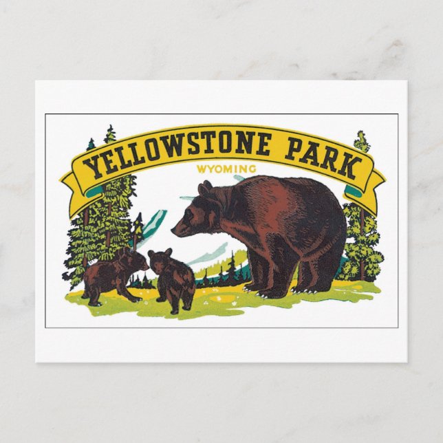 Carte Postale Yellowstone Park, Wyoming (Devant)