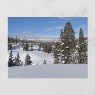 Carte Postale Yellowstone Winter Landscape Photographie