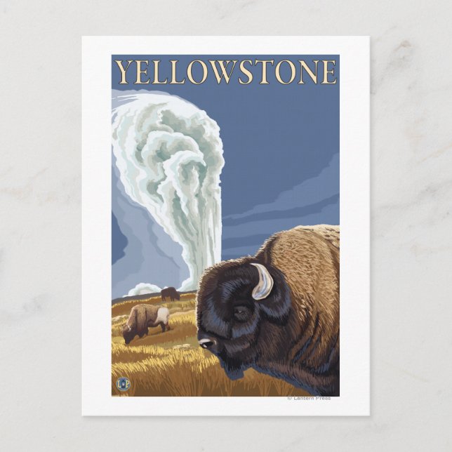 Carte Postale YellowstoneBison avec la vieille foi (Devant)