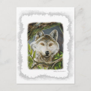 Carte Postale Yeux attentifs