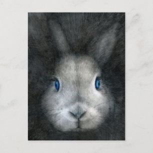 CARTE POSTALE YEUX BLEUS