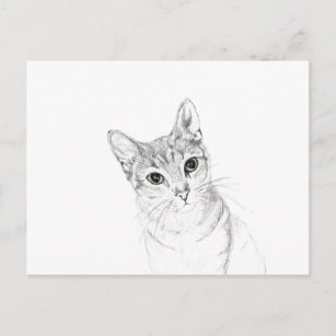 Carte Postale Yeux de chat Un dessin au crayon