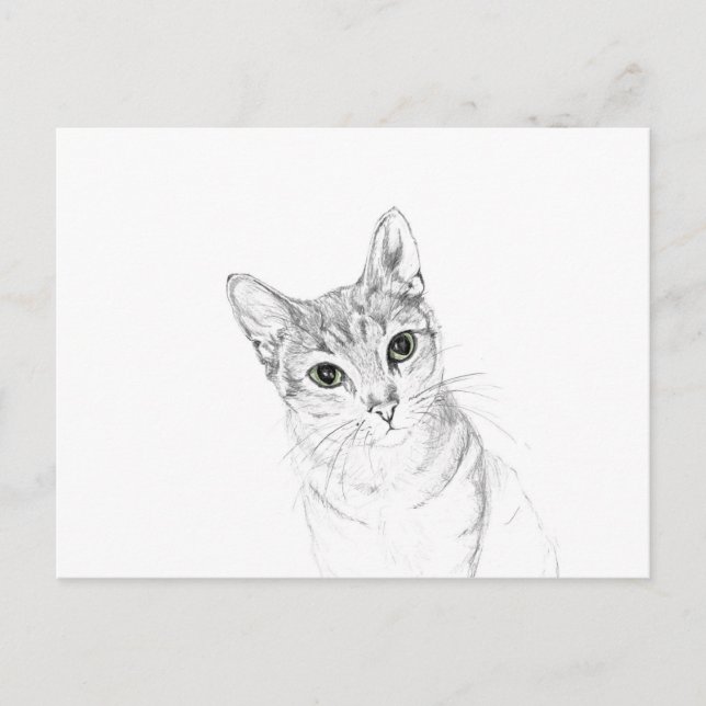 Carte Postale Yeux de chat Un dessin au crayon (Devant)