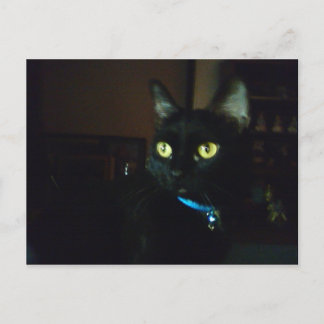 Carte Postale Yeux d'Halloween