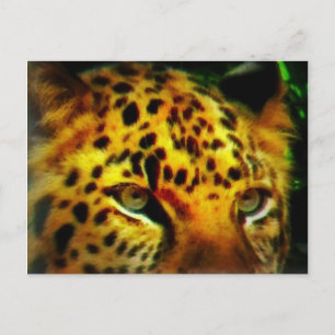Carte Postale Yeux Jaguar