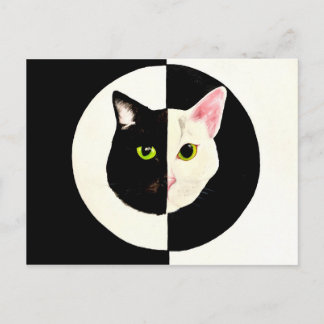 Carte Postale Yin et yang des chats noirs et blancs peints sur d