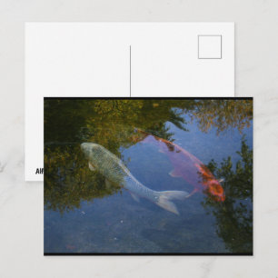 Carte Postale Yin et Yang en argent et ambre