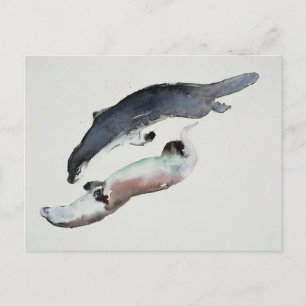 Carte Postale Yin Yang