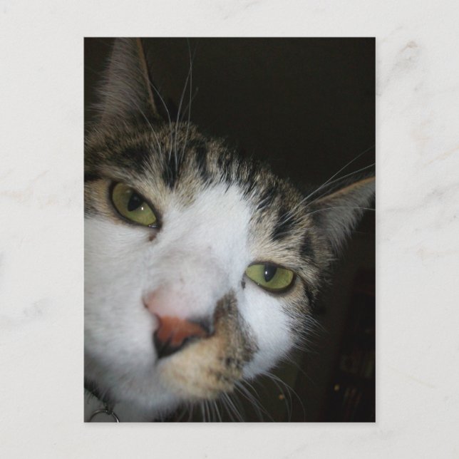 Carte Postale Yo ! (Devant)