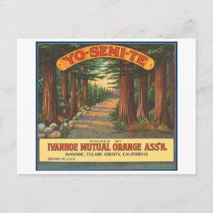 Carte Postale YO-SEMI-TE Étiquette Vintage Fruit Crate