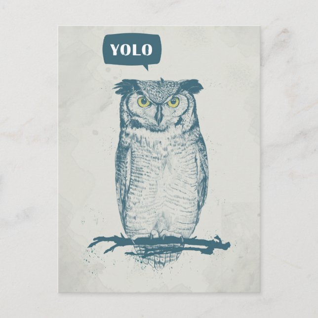 CARTE POSTALE YOLO (Devant)