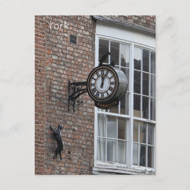 Carte Postale York Cat (Devant)
