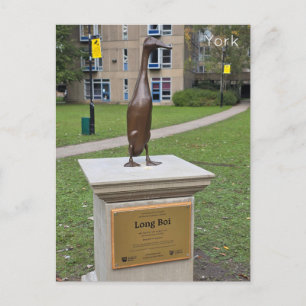 Carte Postale York Long Boi