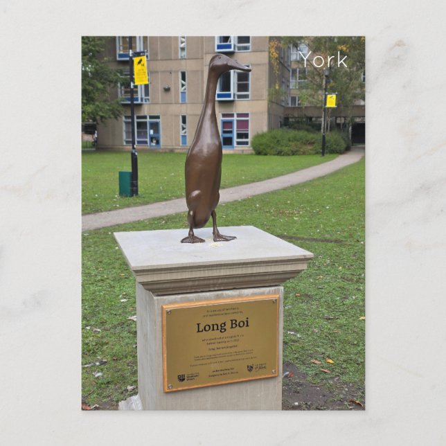 Carte Postale York Long Boi (Devant)