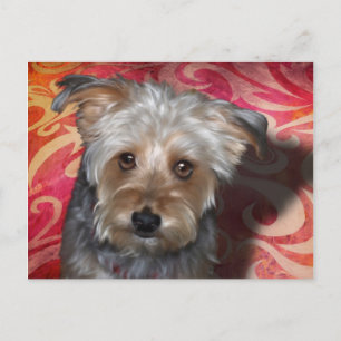 Carte Postale Yorkie