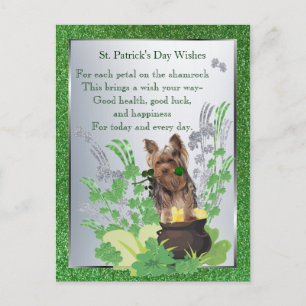 Carte Postale Yorkie Chiot Santé Chance Bonheur St Patty Voeux