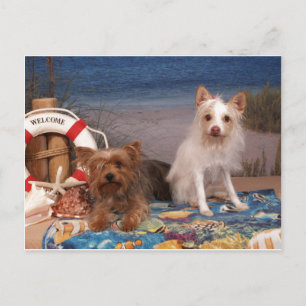 Carte Postale Yorkie et Friends Beach Time