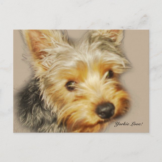 Carte postale Yorkie Love (Devant)