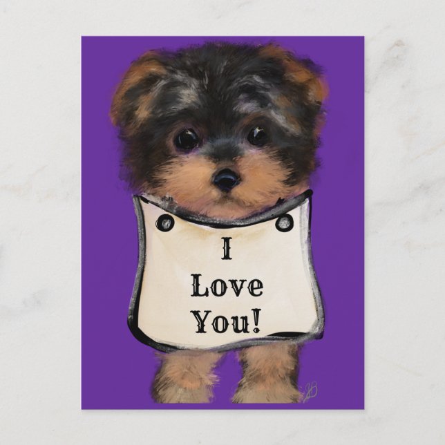 Carte Postale Yorkie Poo (Devant)