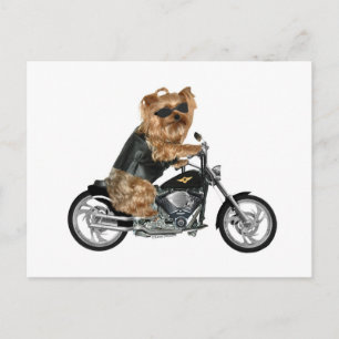 Carte Postale Yorkie Yorkshire Terrier Biker