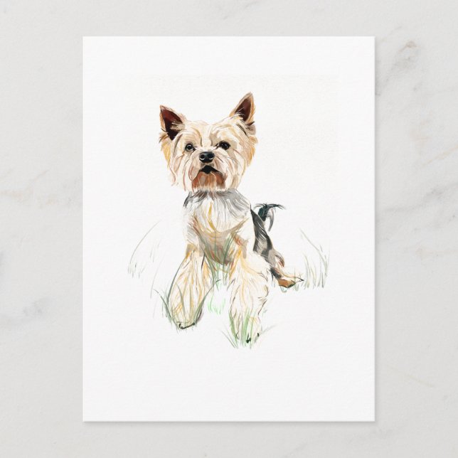 Carte postale Yorkie – Yorkshire Terrier, Parent d (Devant)